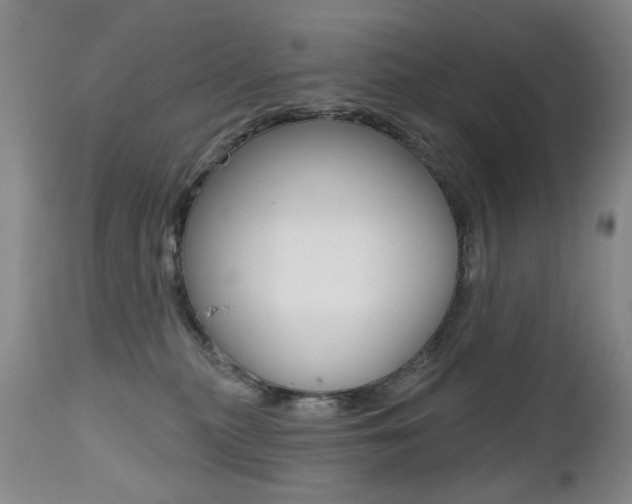 X0000112520279200908171119