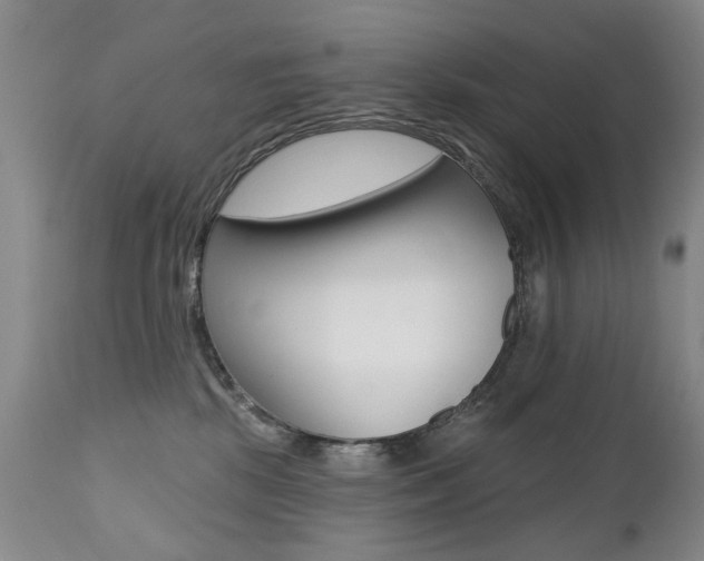 X0000112520281200908171119