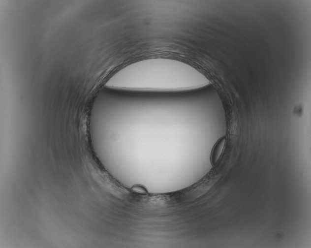 X0000112520282200908171119