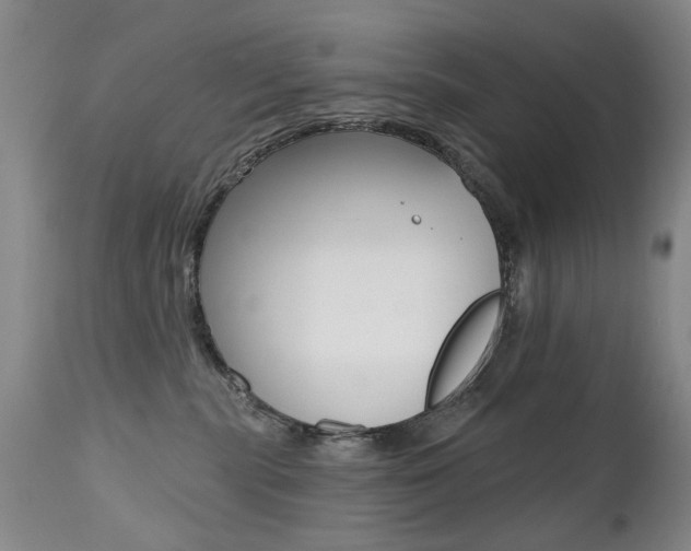 X0000112520283200908171119