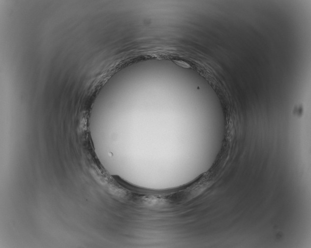 X0000112520284200908171120