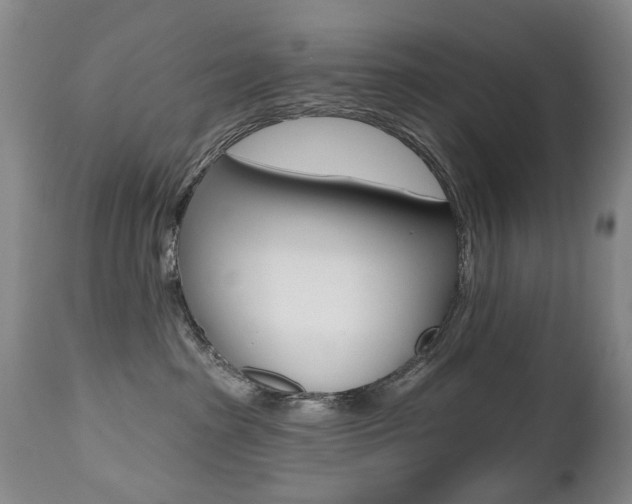 X0000112520285200908171120
