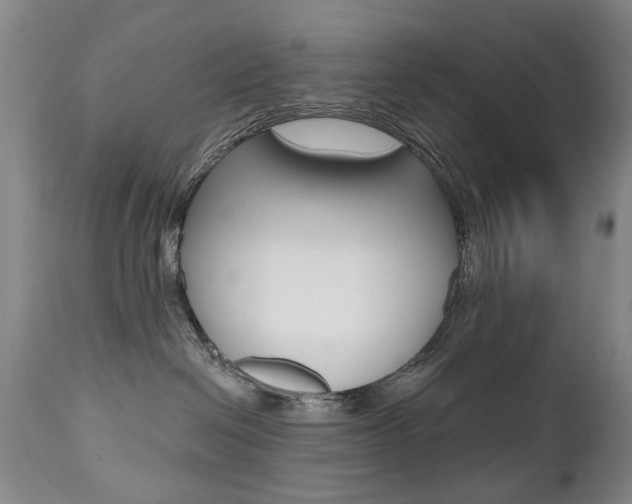 X0000112520286200908171120