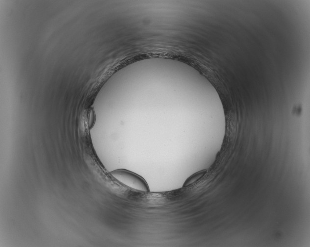 X0000112520287200908171120