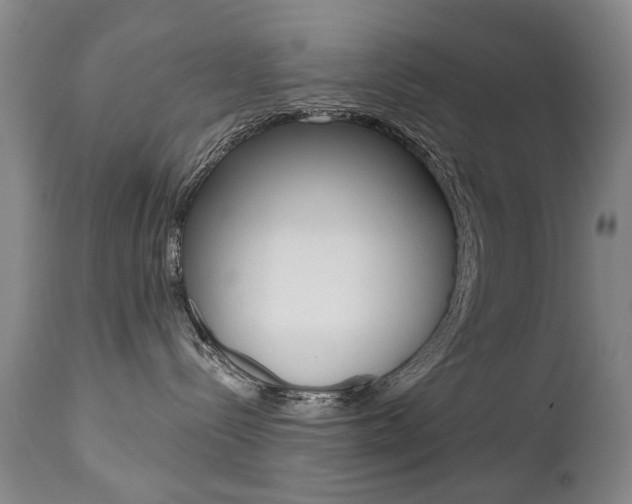 X0000112520288200908171120