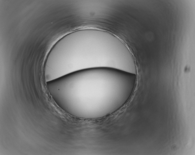 X0000112520289200908171119