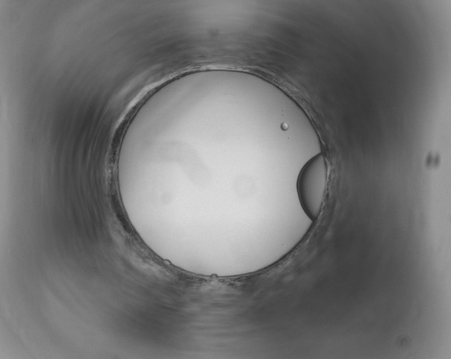 X0000112520290200908171119