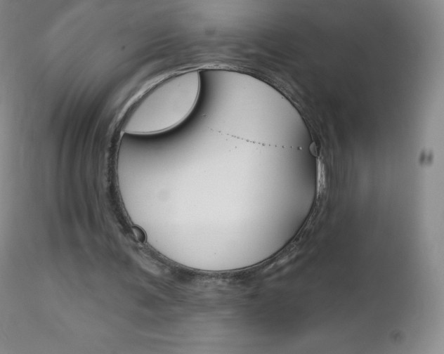 X0000112520291200908171119