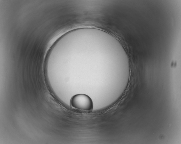 X0000112520292200908171119
