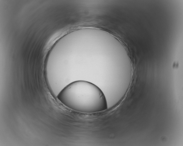 X0000112520293200908171119