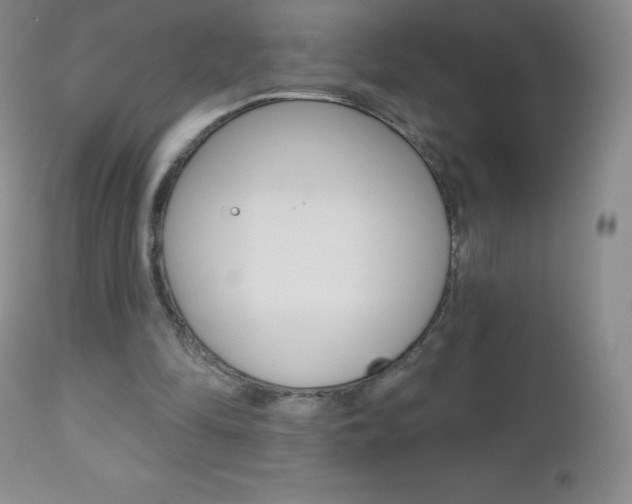 X0000112520294200908171119