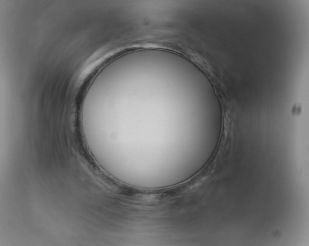 X0000112520295200908171119