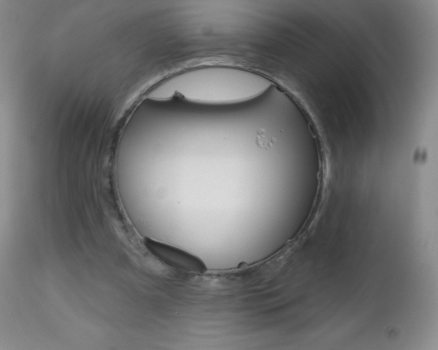 X0000112520297200908171119