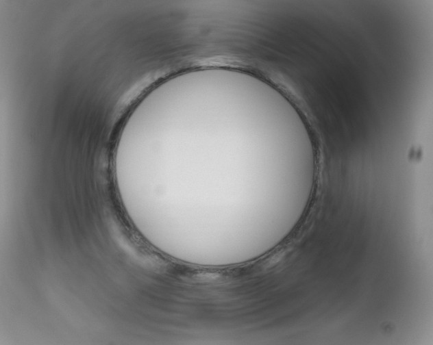 X0000112520298200908171119