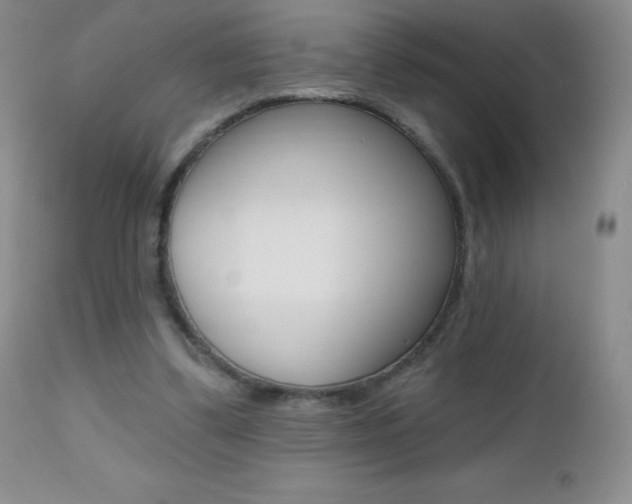 X0000112520299200908171119