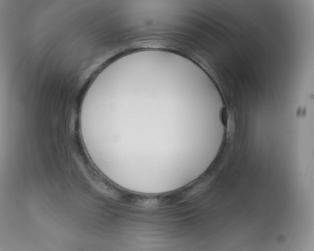 X0000112520301200908171119