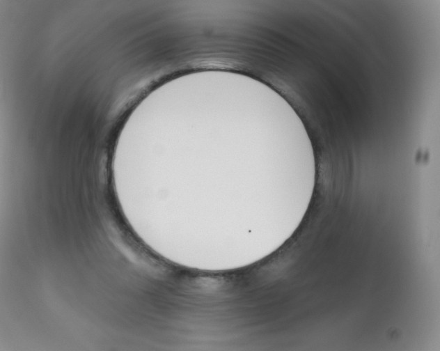 X0000112520302200908171119