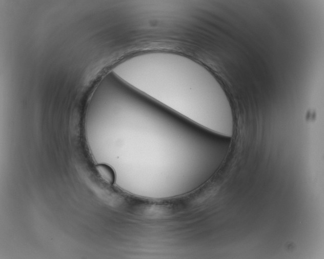 X0000112520303200908171119