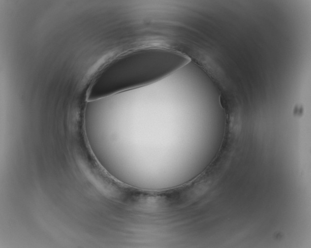 X0000112520304200908171119