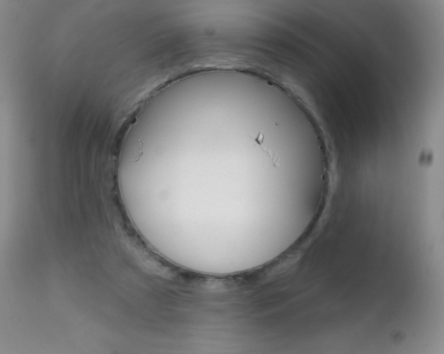 X0000112520305200908171119