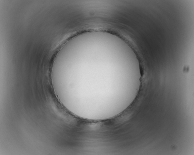 X0000112520306200908171119