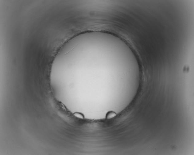 X0000112520307200908171119