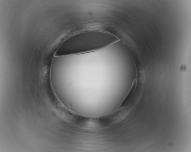 X0000112520308200908171119