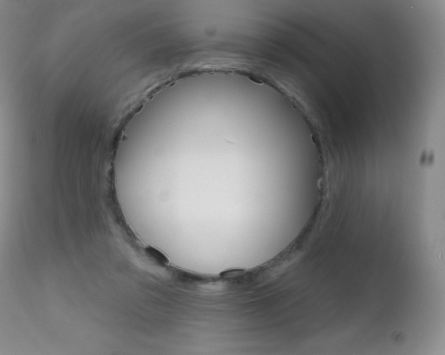 X0000112520309200908171119