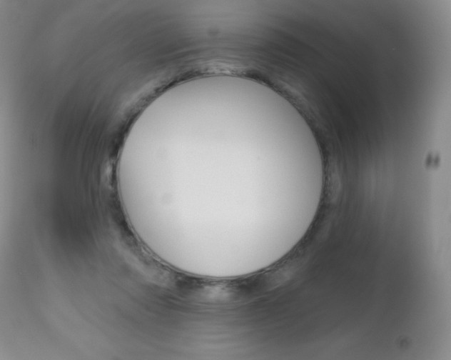 X0000112520310200908171119
