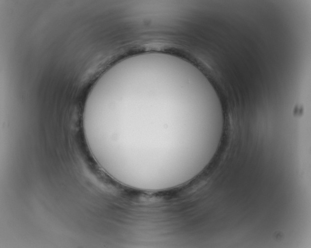 X0000112520311200908171119