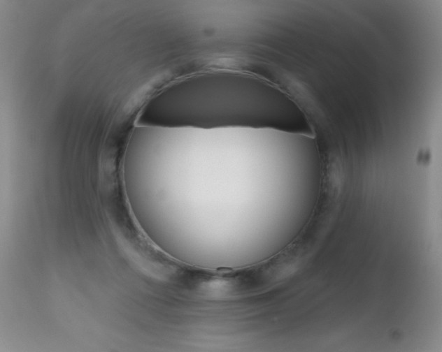 X0000112520312200908171119