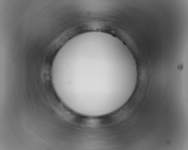 X0000112520313200908171119