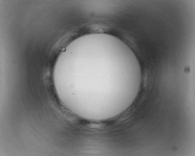 X0000112520314200908171119