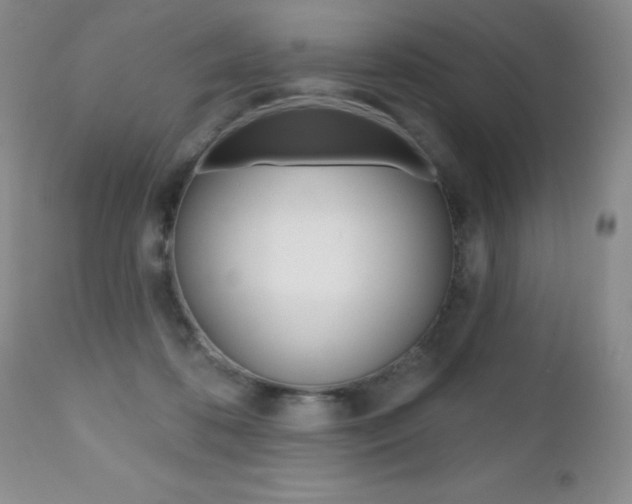 X0000112520316200908171119