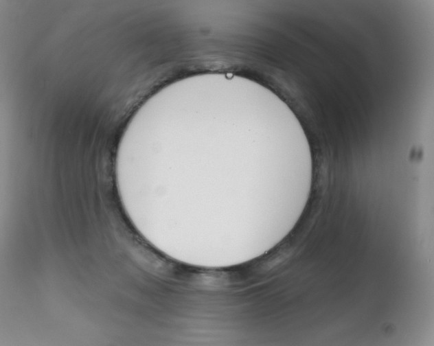 X0000112520317200908171119