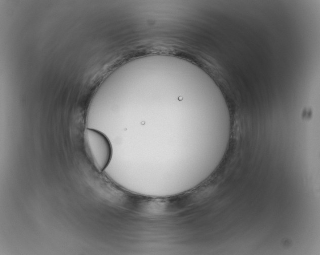 X0000112520318200908171119