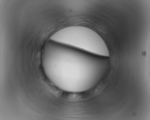 X0000112520319200908171118