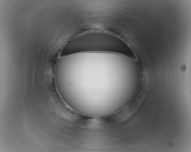 X0000112520320200908171118