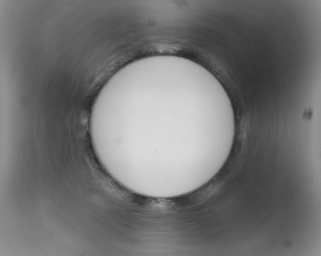 X0000112520321200908171118