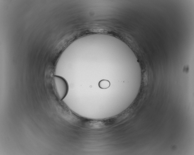 X0000112520322200908171118
