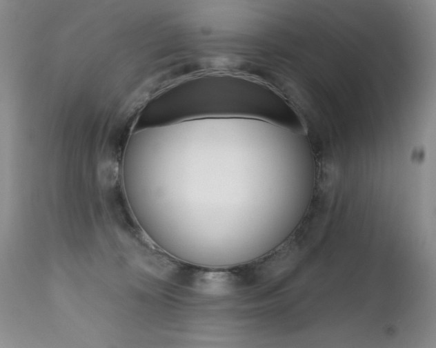 X0000112520324200908171118