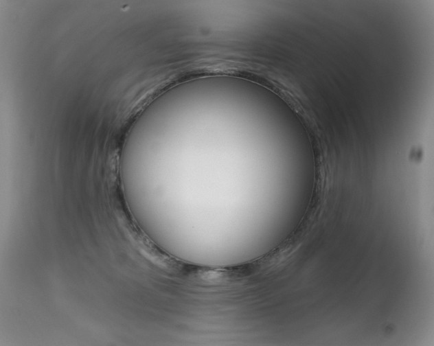 X0000112520325200908171118