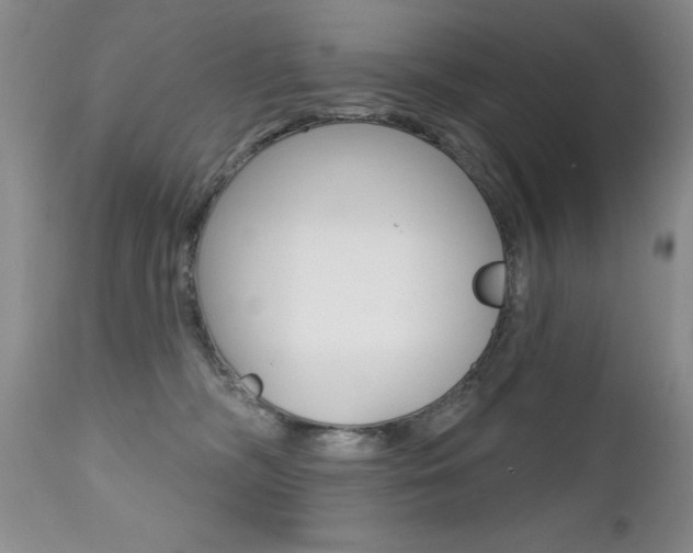 X0000112520326200908171118