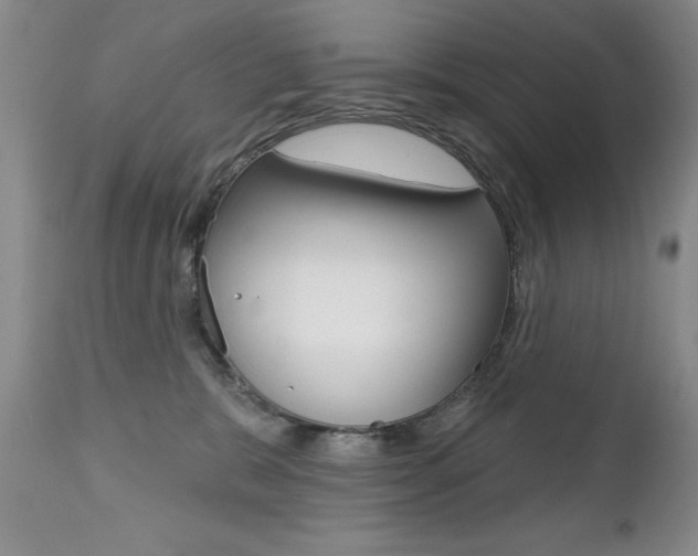 X0000112520327200908171118