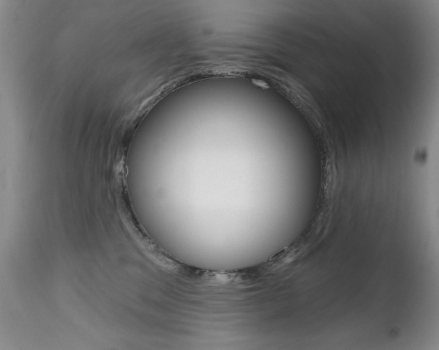 X0000112520329200908171118