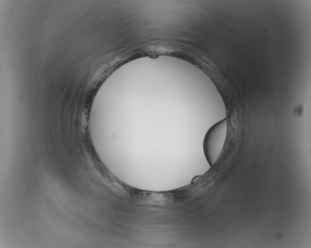 X0000112520330200908171118