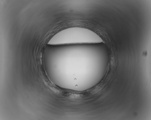 X0000112520332200908171118