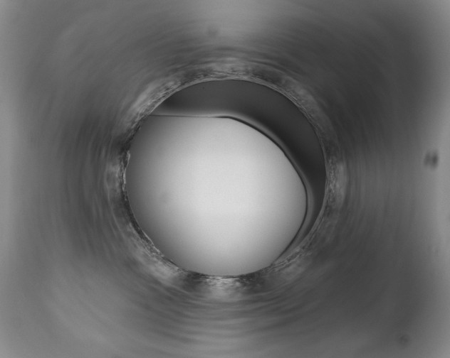 X0000112520333200908171118