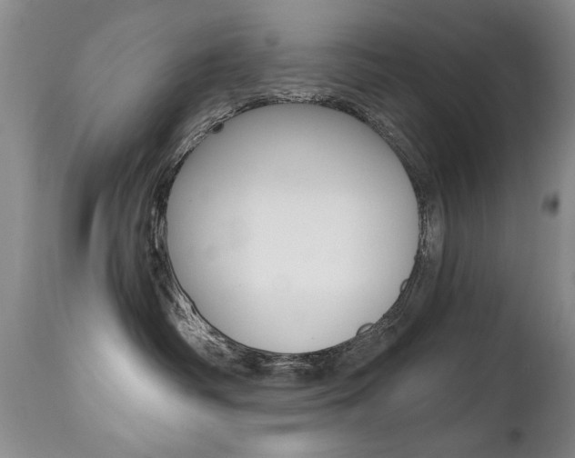 X0000112520334200908171118