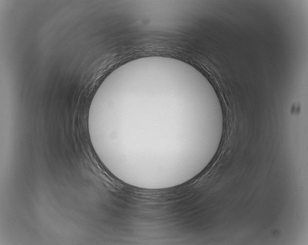 X0000112520336200908171118
